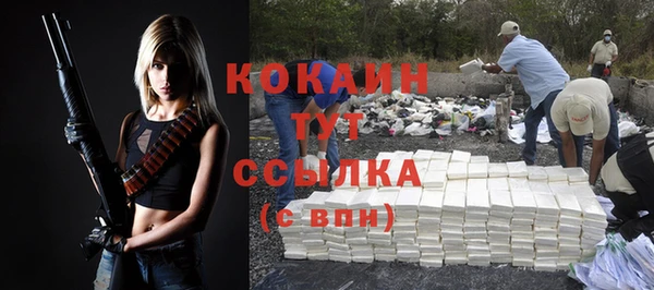 сатива Богородицк