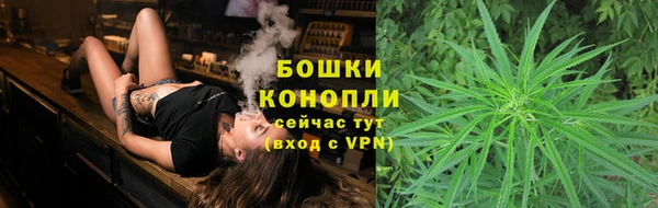молекула духа Пестово