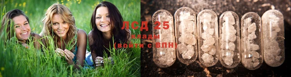 сатива Богородицк